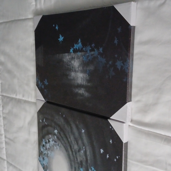 Three piece canvas frame art - Picture 4 of 7